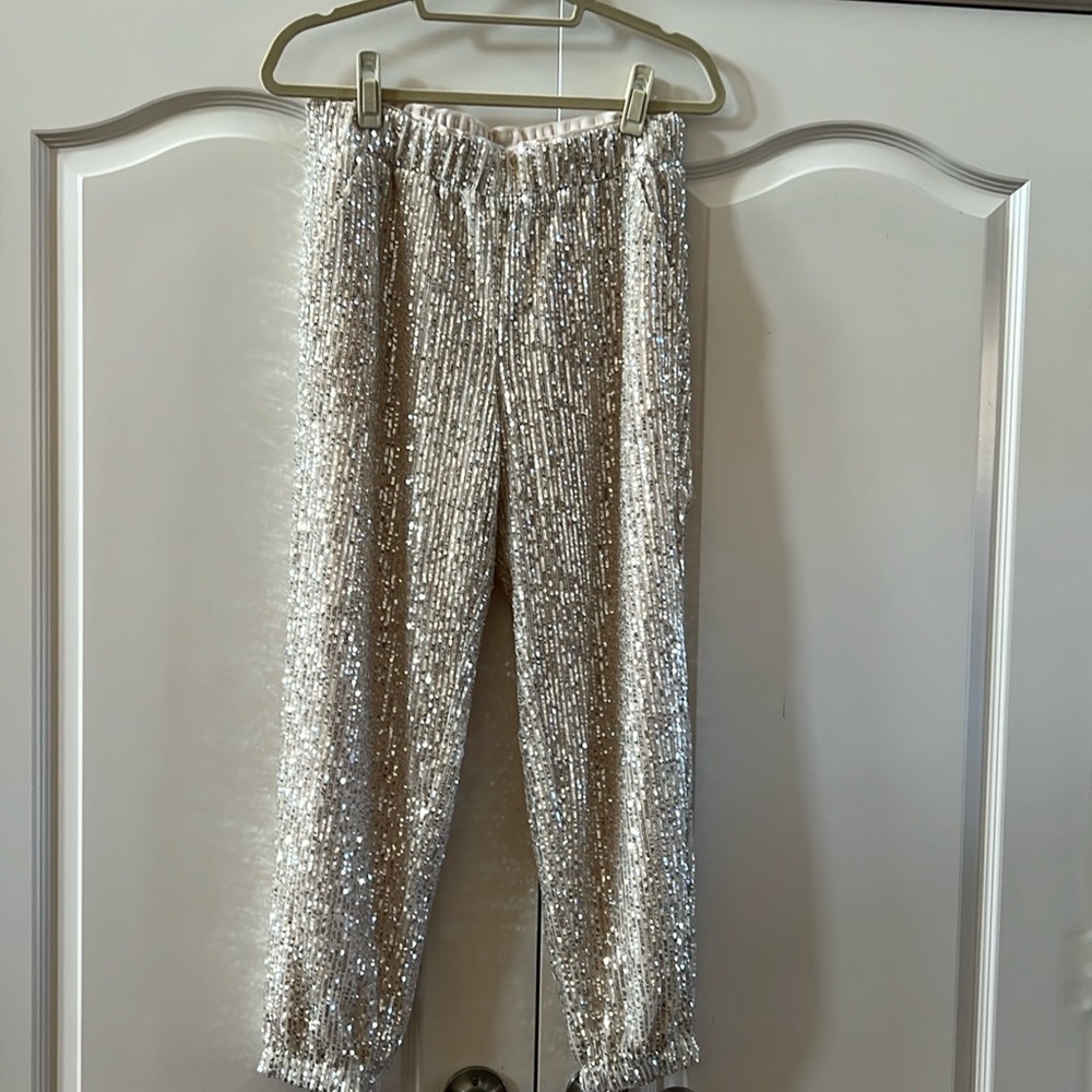 Ann Taylor loft Joggers Small